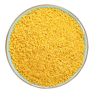 峁圪垯 延安黄小米2.5kg*1袋新小米五谷杂粮小黄米煮粥香延安特产