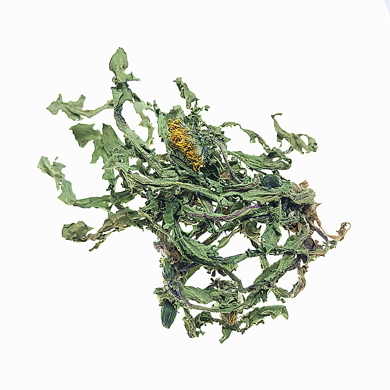 蒲公英250克包邮新鲜干布另有茶