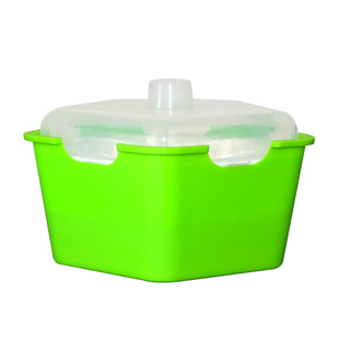 芽苗菜育苗盘水培葱苗大蒜苗神器水养植物创意育苗盆豆芽菜种植盘