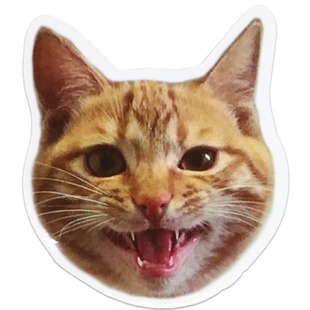 猫咪金金贴纸2张