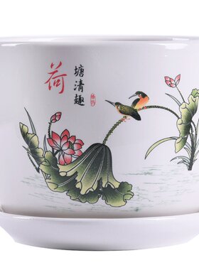 带托盘特价清仓个性吊兰多肉花盆