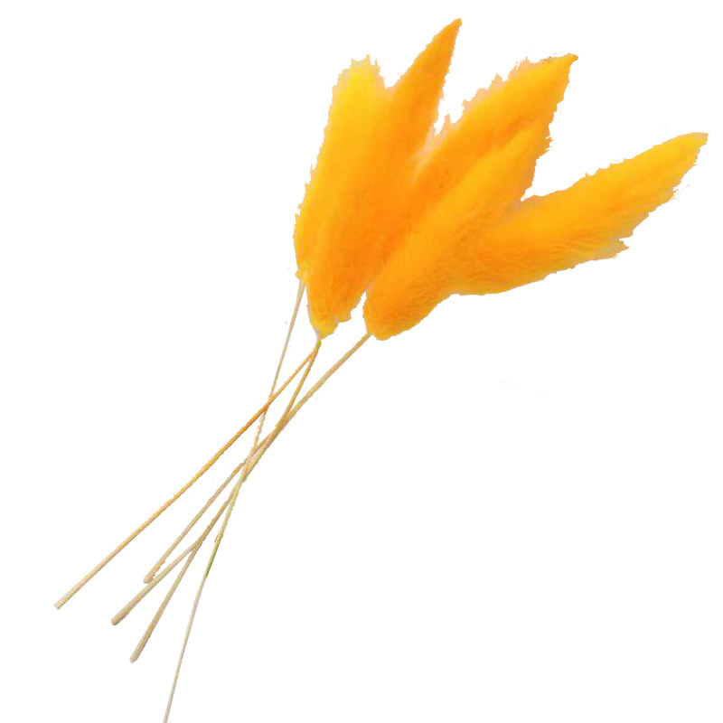 佐薇兔尾草渐变干花拍照道具ins永生花diy材料迷你花束插花手工
