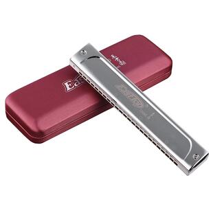 东方鼎T2406S口琴C加厚24孔复音调ABDEGF调成人专业演奏初学乐器