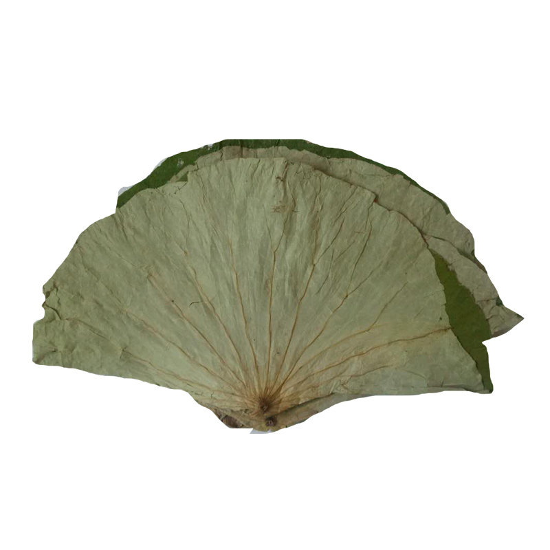 2026整张干荷叶片散装500g做粽子大小荷叶鸡荷叶蒸饭糯米鸡叫花鸡