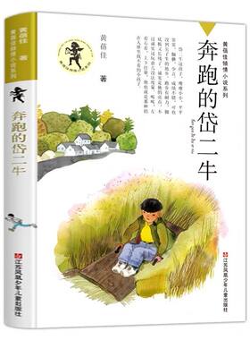 奔跑的岱二牛黄蓓佳倾情小说系列