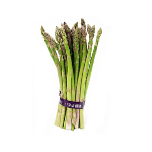 多年生芦笋种子钻石芦笋菜石刁柏春季秋季高产早熟四季播盆栽蔬菜