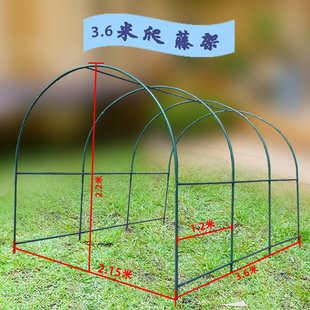 架阳台楼藤顶庭院园支架花卉蔬菜GHS攀爬豆角黄瓜架大爬棚骨架花