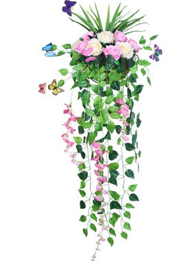 垂吊花藤客厅办公室挂墙绿色吊兰