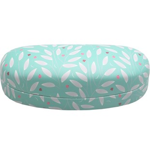 大号太阳眼镜盒女韩版小清新近视大框架眼睛盒铁盒优雅创意墨镜盒