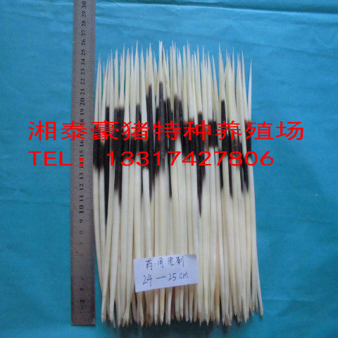 养殖豪猪刺豪猪毛泡酒药材刺猪刺箭猪刺药用刺 50克 清洗干净款