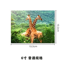 洗照片冲印手机洗相片3 5寸塑封满2