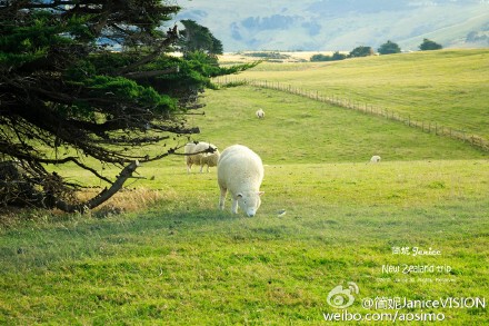 新<span class='highlight'>西</span>兰南岛不可错过的十大旅行地