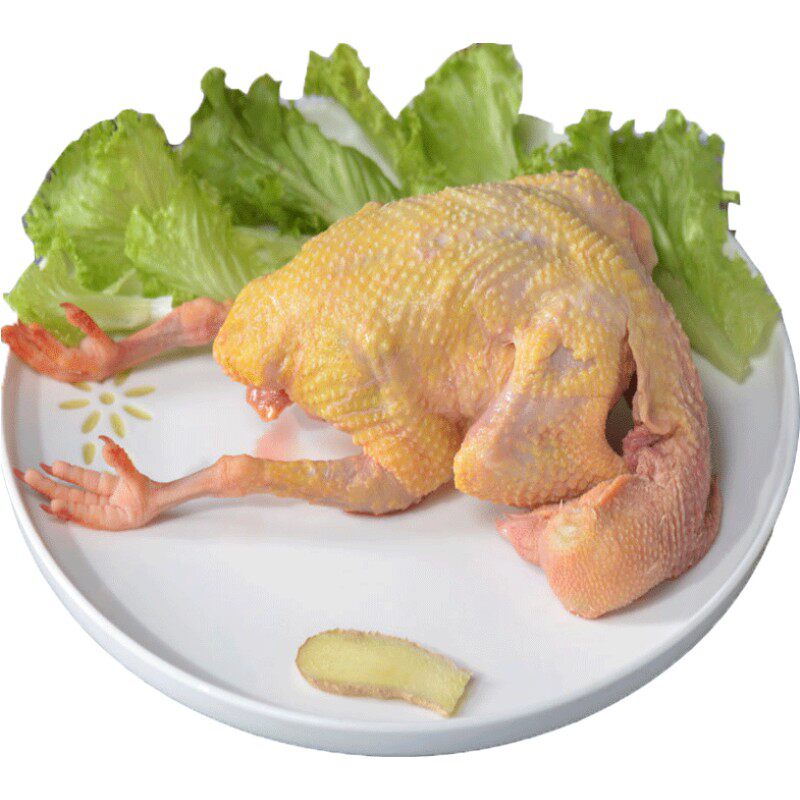 3只装老鸽子 新鲜现杀顺丰包邮乳鸽