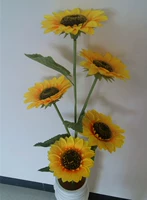 5 голов 1,1 высотой