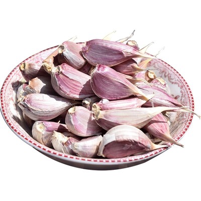 紫皮小蒜瓣红皮蒜苗蒜