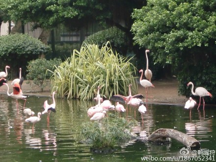 洋气大城市香港大闯关