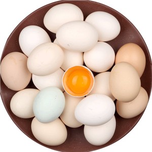 北京发货 正宗土鸡蛋农家散养新鲜柴鸡蛋宝宝辅食乌鸡蛋20枚起售