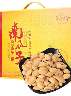 炒货甘肃盐焗味南瓜子