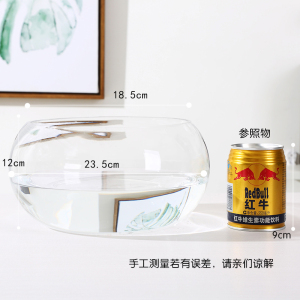 玻璃花盆 碗莲 睡莲 铜钱草 荷花水培植物花瓶 鱼缸 大口径花瓶