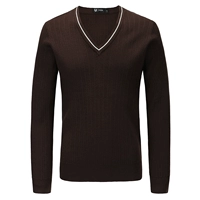 Коричневый с длинным рукавом SW1001CO