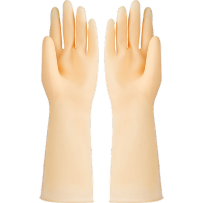 【云蕾】乳胶牛筋手套 全国线下有售