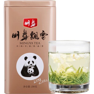广西新鲜茉莉正品保障