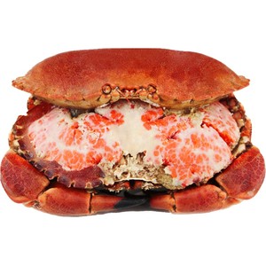 裙带菜 聚鲜品海草400g日本料理海草 海带丝开袋即食爽口