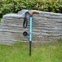 4 секция типа хвойной пород (отправка деревянной шляпы+перчатки)