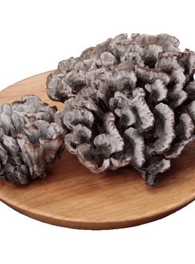 新鲜野生干巴菌云南昆明500g