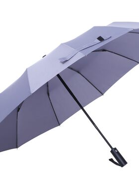 12骨全自动简约抗风两用定制雨伞