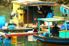 下龙湾和船长晚宴，邮轮带我去越南