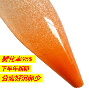 西藏新卵幼鱼大红卵细卵可孵化丰年虾卵虫小鱼苗饲料孔雀斗鱼鱼食