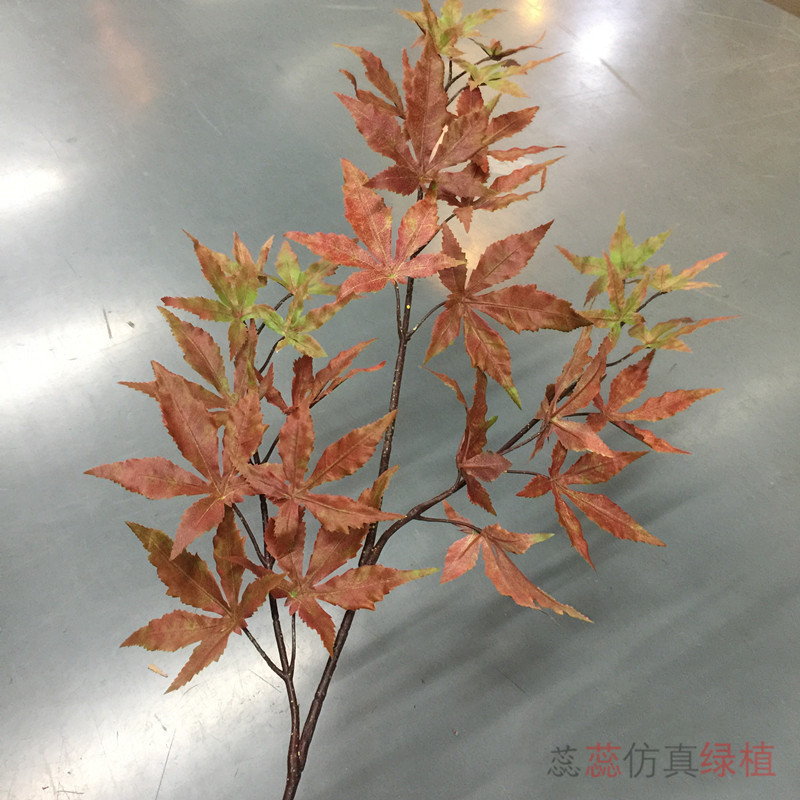 装饰枫树叶五角红枫叶子