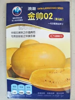 Golden Shuai 02 Семя арбуза 200 зерна оригинала (желтая кожа желтая)