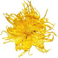 第2件5元金丝皇菊大金银花