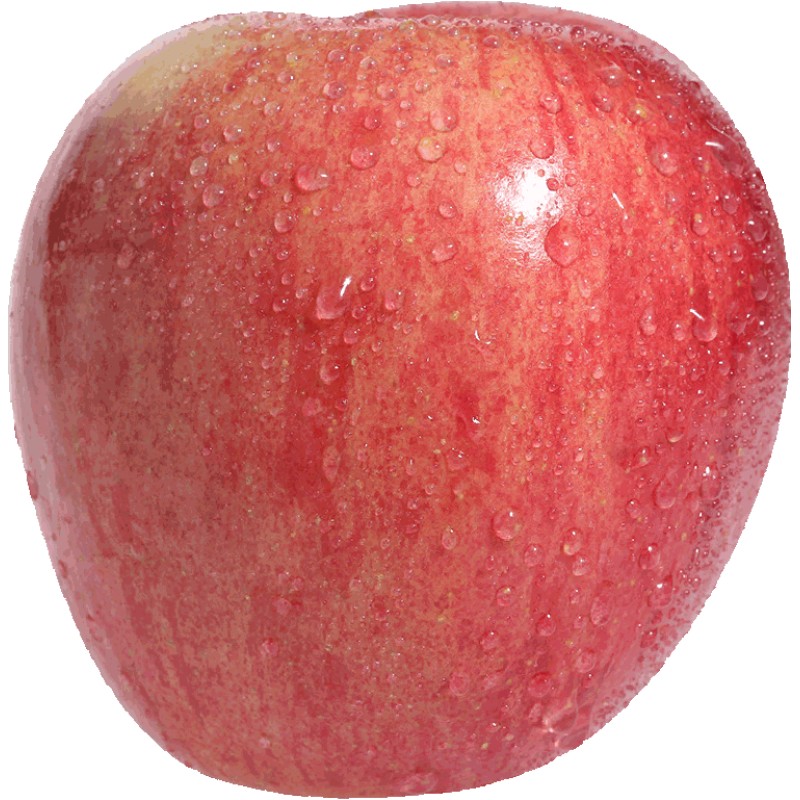 陕西洛川苹果延安新鲜红富士水果16枚大果精美包装整箱顺丰包邮