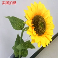 Средняя одиночная голова 1,1 высокая