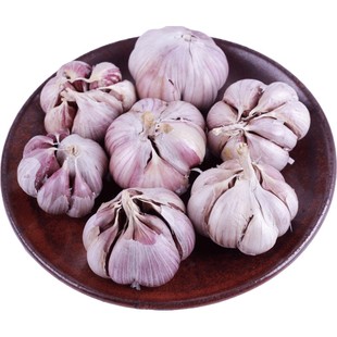 云南紫皮大蒜老品种多瓣蒜丫蒜干大蒜新鲜土香蒜红皮香辣大果