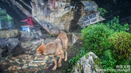 迷雾沙巴，我不在海边