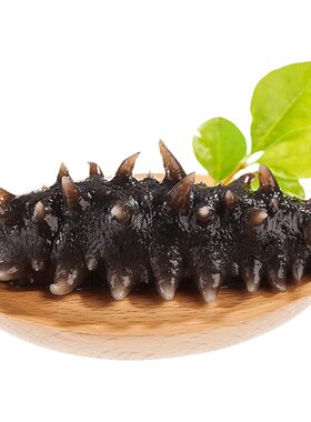 晓琴水产大连九年即食辽参福海参