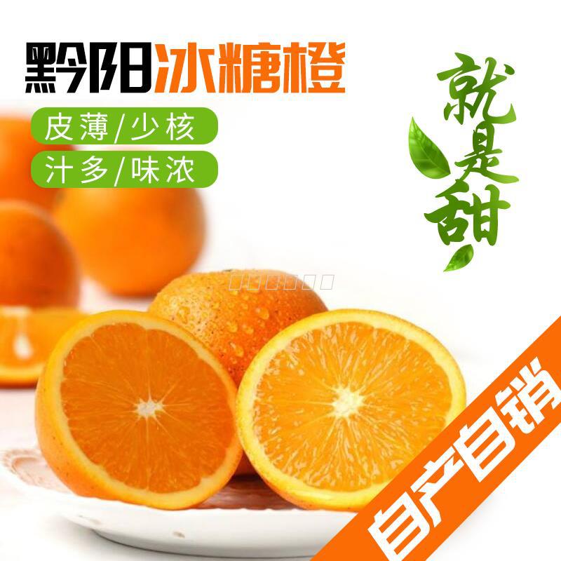 湖南黔阳（安江）农家冰糖橙10橙