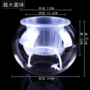 水培植物玻璃花瓶水培花瓶 绿萝水培花瓶水培玻璃盆包邮加厚加大