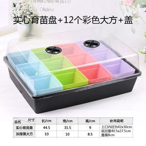 花盆组合实心长方形塑料托盘多肉叶插盆育苗盆育苗盘盒整理框