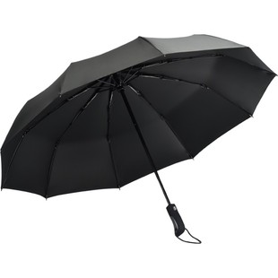 天堂伞全自动雨伞男女大号双人三折叠开收加固防风学生晴雨伞两用