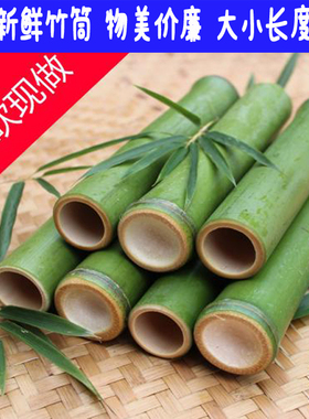 广宁竹新鲜竹筒商用可定制尺寸