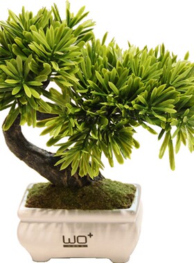 wo+仿真清新绿植盆栽整体花艺