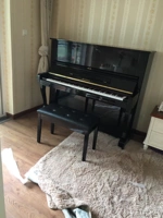 Черный Соломон Соломон