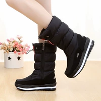 G71-Black