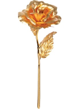 生日送女友老婆浪漫表白礼物金箔