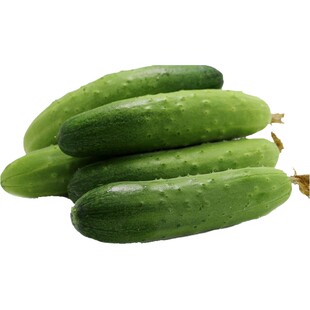 密农人家 密云新鲜七寸黄瓜500g 小黄瓜 水果黄瓜 清甜 新鲜蔬菜